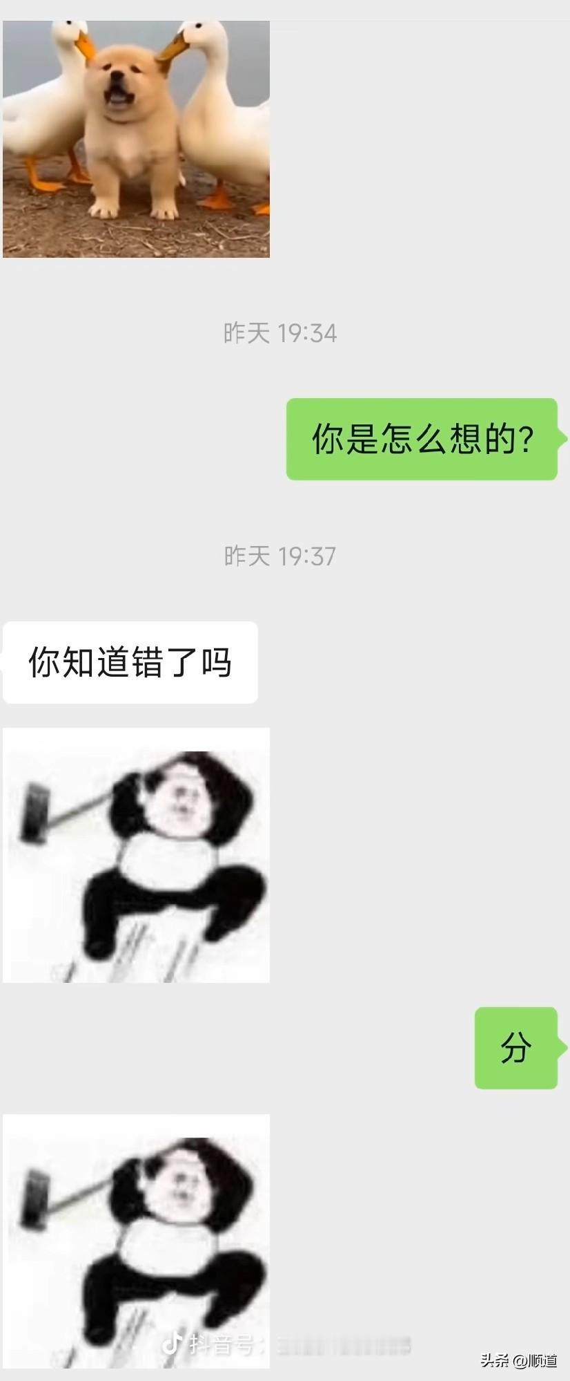 我的快乐生活全靠这张图片支撑呢。