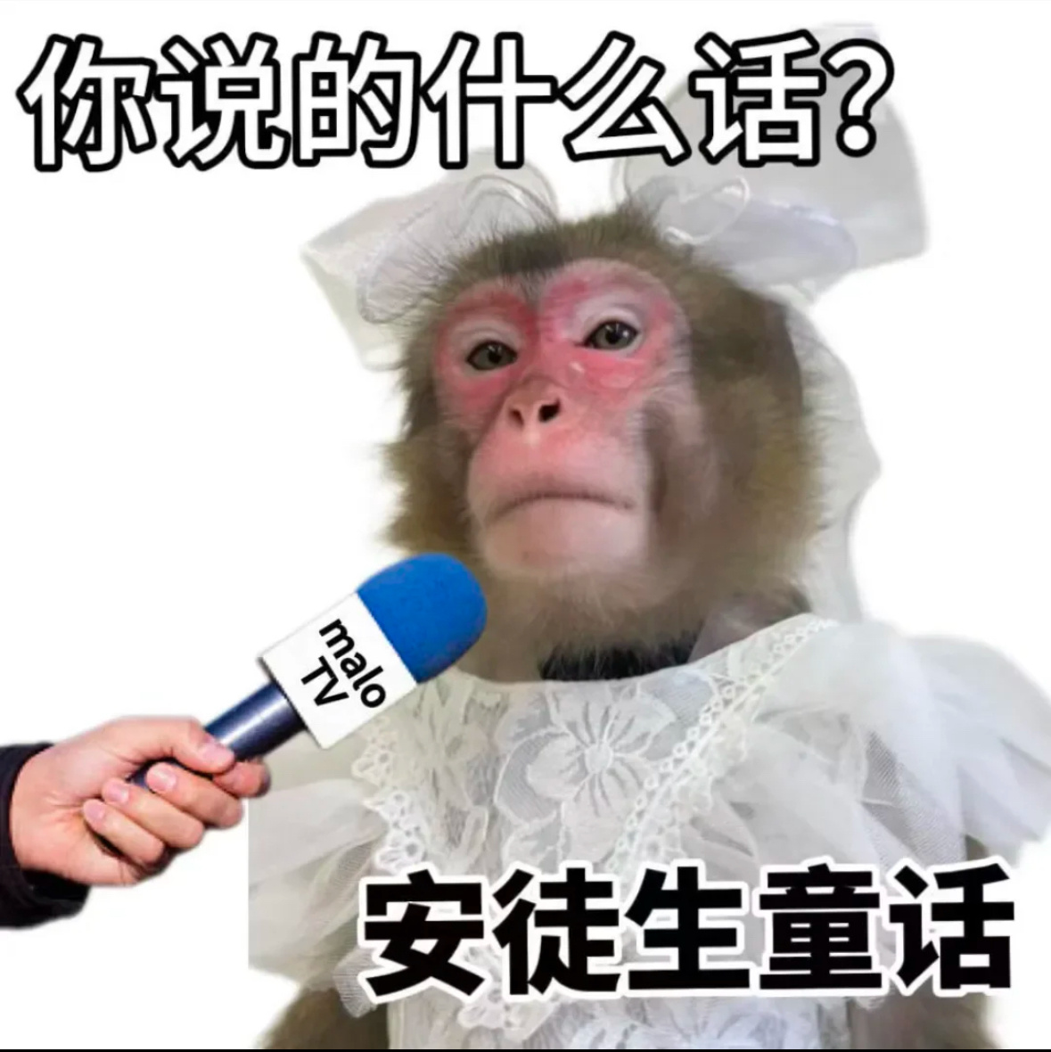 这种情况都是先定好了，都工作了，都已经引进了，福利定好了！给个公示就是走个流程吧