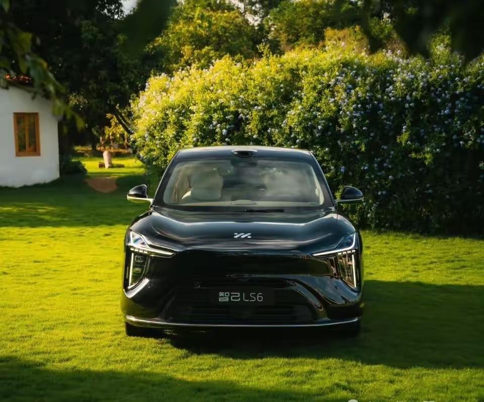 如果预算合适的呀。我个人建议选择电车，为什么我这么建议呢。听我分析为什么说智能电