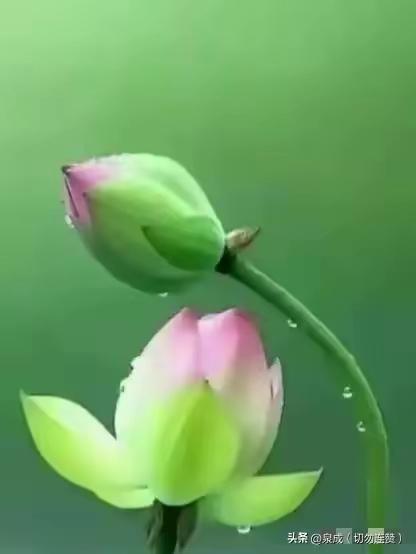 人每天奔波劳碌,究竟是为了什么?人每天奔波劳碌，不是为了名利本身，而是为了给爱的