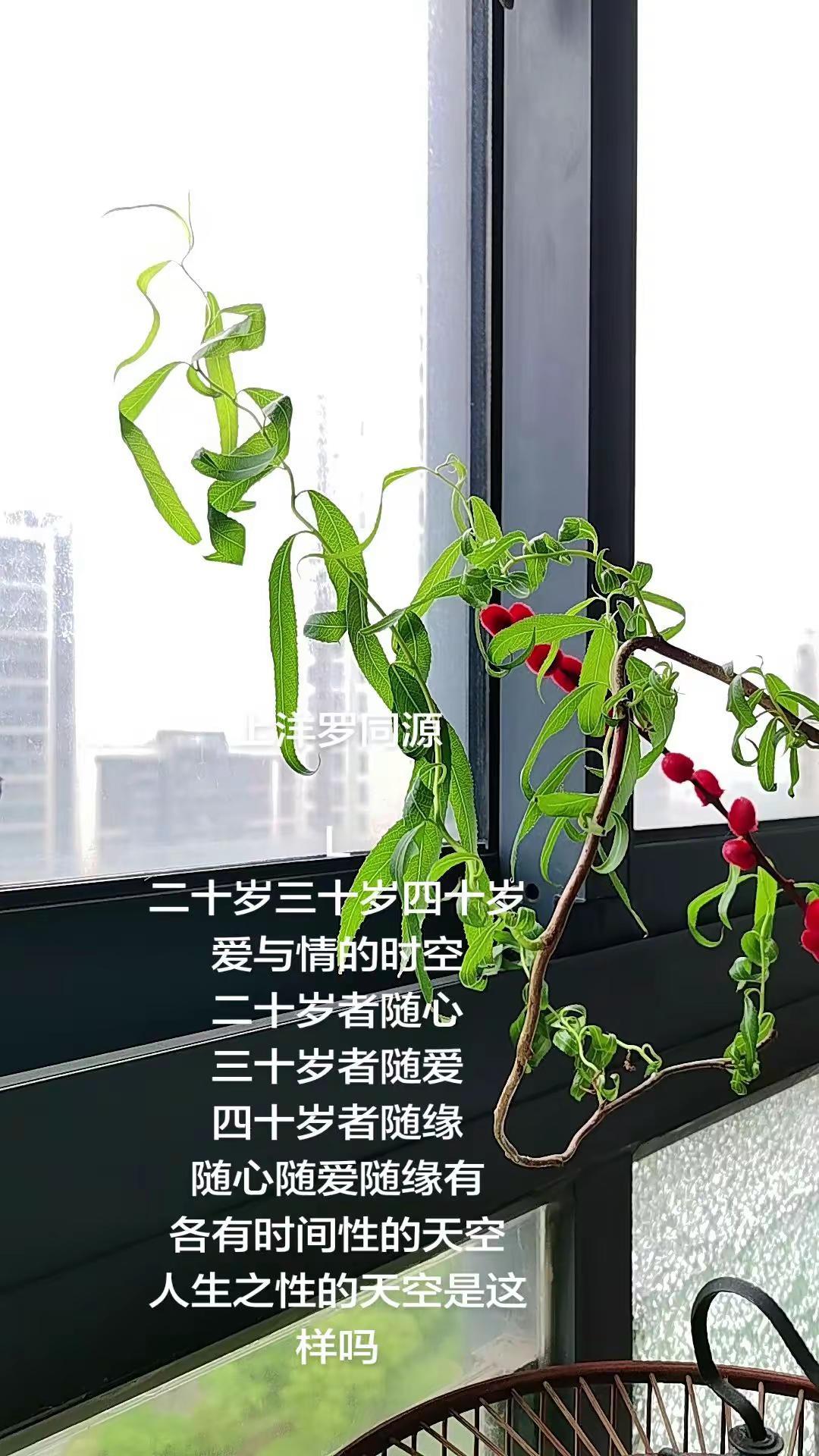 人生的时空