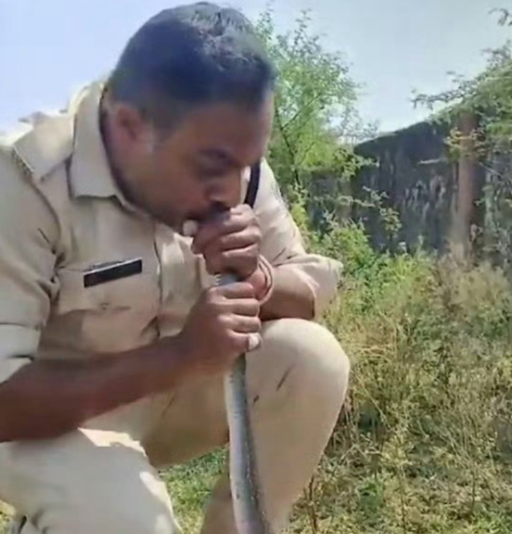 印度一边立案对中方化工品调查，一边逼中方出口尿素，连美网友都看不下去了！3月17