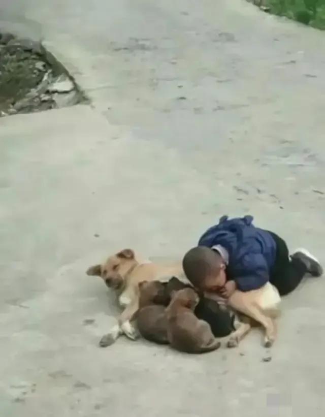 把这个照片保存起来，等小男孩长大了给他看[捂脸]