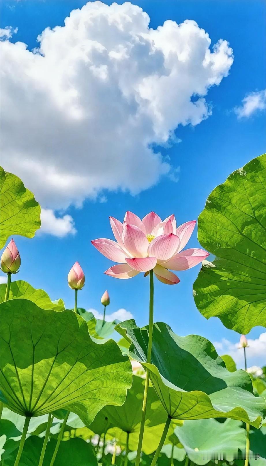 幸福，不是一辈子没有烦恼，而是学会和烦恼共存。

是累了可以歇一歇，不必时刻逼自