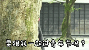 白鹿[超话][发射爱心] 白鹿crocs全球品牌代言人 [发射爱心] 白鹿洞门人