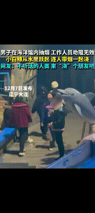 有时候人真不如动物呢

海洋馆里，一男子抽烟，工作人员劝说不听，这时候，小白鲸悄