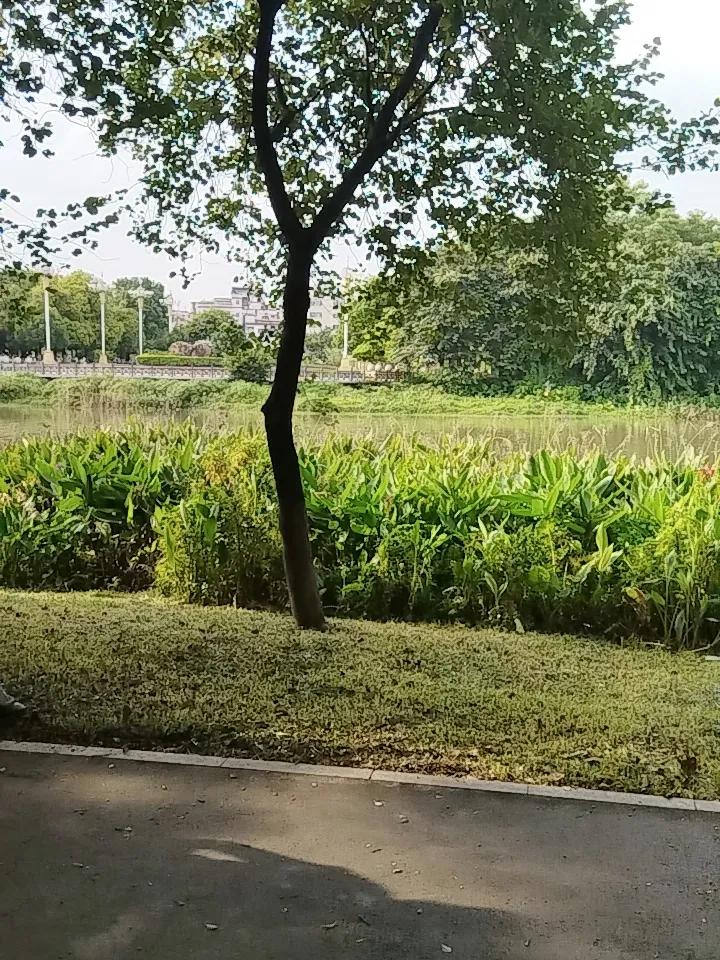 下午打算去干活，找了一圈没有合适的。
打开手机挂了个号，昨晚腰部有点隐隐的轻微的