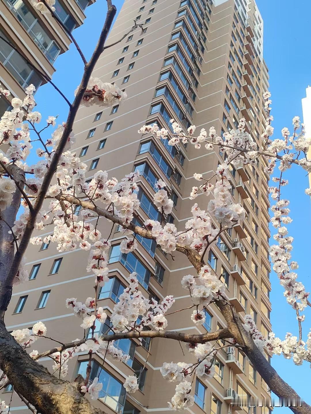 我觉得，每个人都应该有自己的兴趣。生活中不能只有工作。