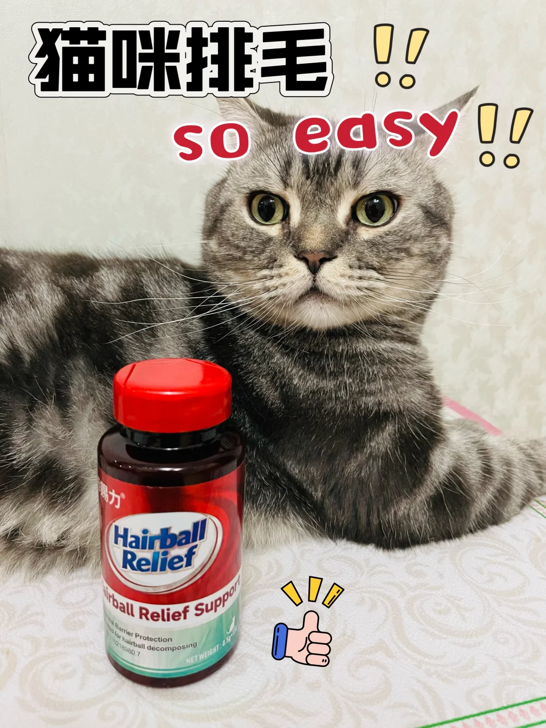 猫咪排毛！ so easy！资深铲屎官拿捏