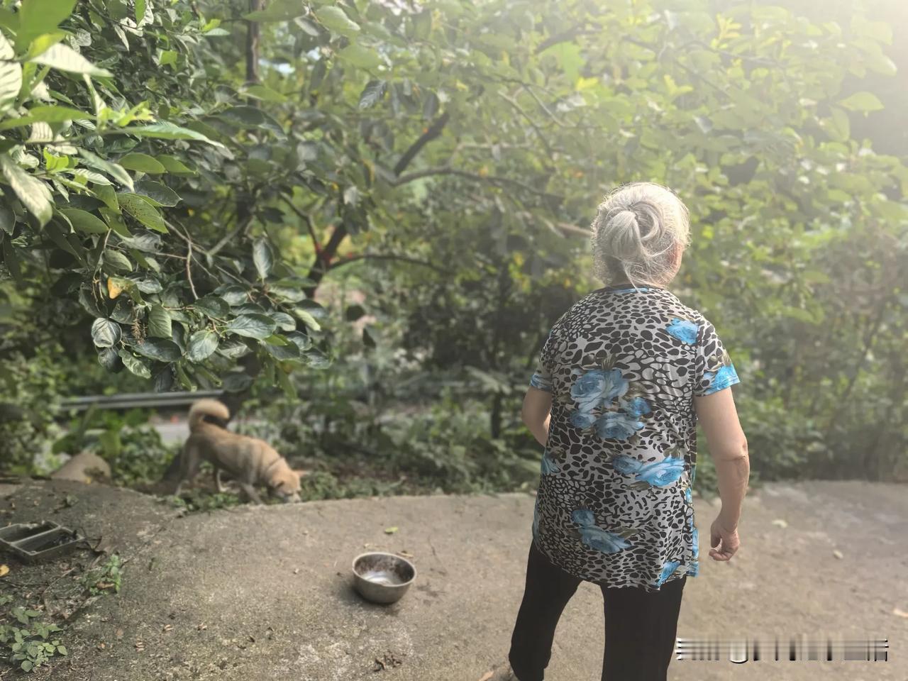 昨天午后阳光灿烂，太阳大得根本没办法出门。待在家里温度还是适宜的，正当我躺床上朦