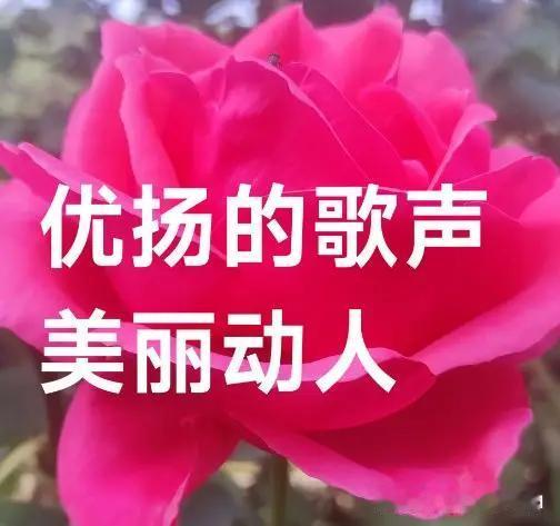 这画面真的太美了，阳光潇洒的感觉让人陶醉！歌声也很有韵味，听完之后回味无穷。😍