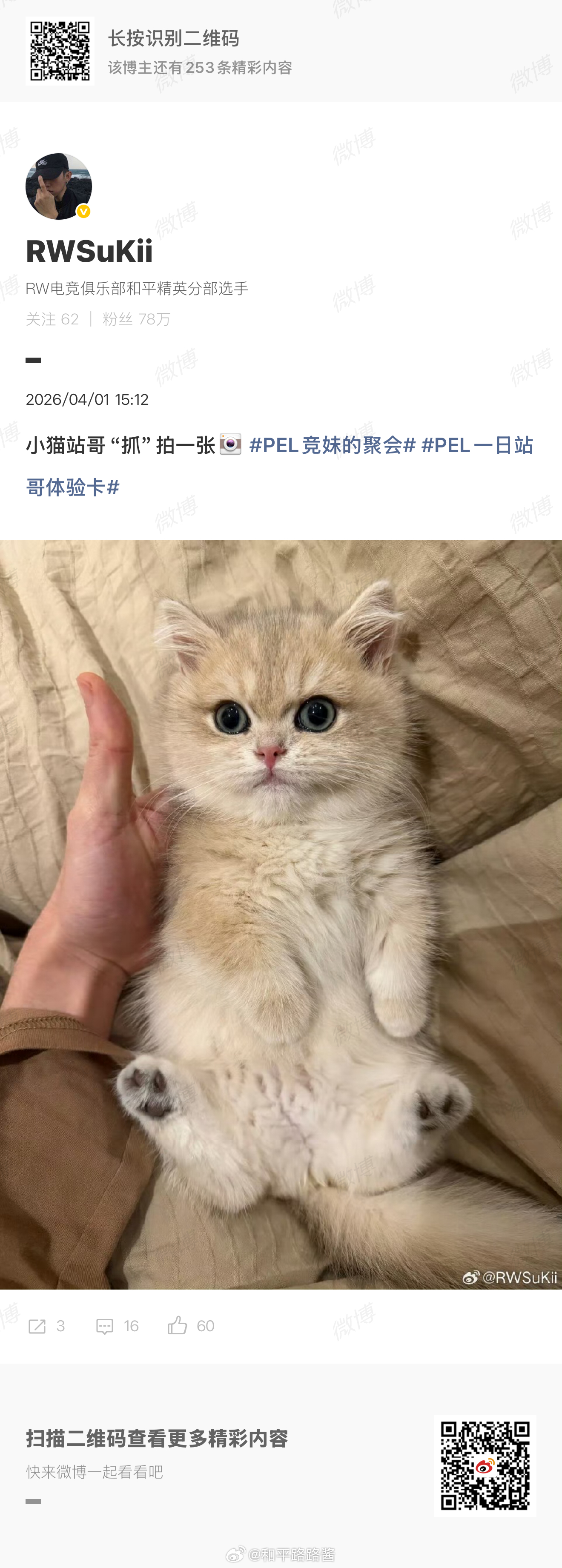 萌晕了！pel一日站哥体验卡 pel竞妹的聚会