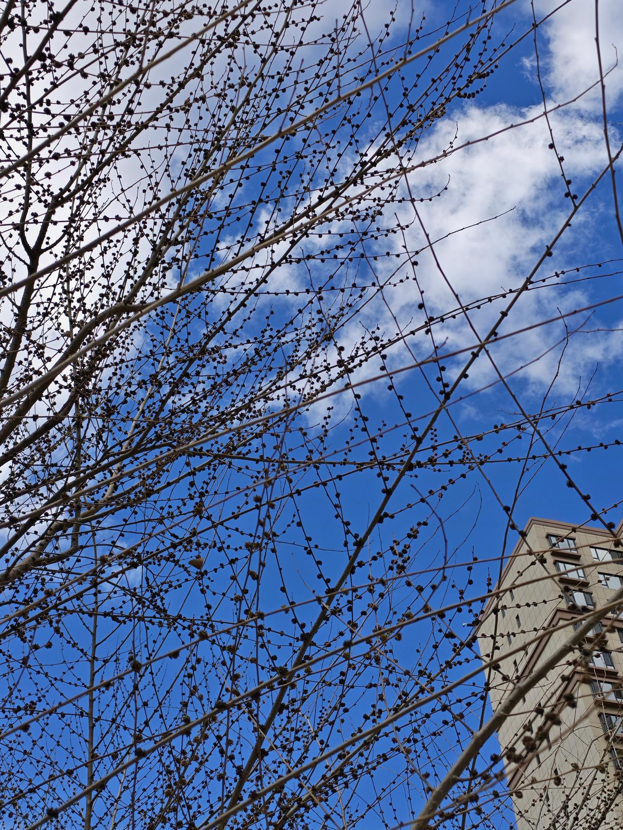 今天闲来无事，去万象城逛了逛。原本打算买条运动裤，可惜没找到合我心意的款式。
逛