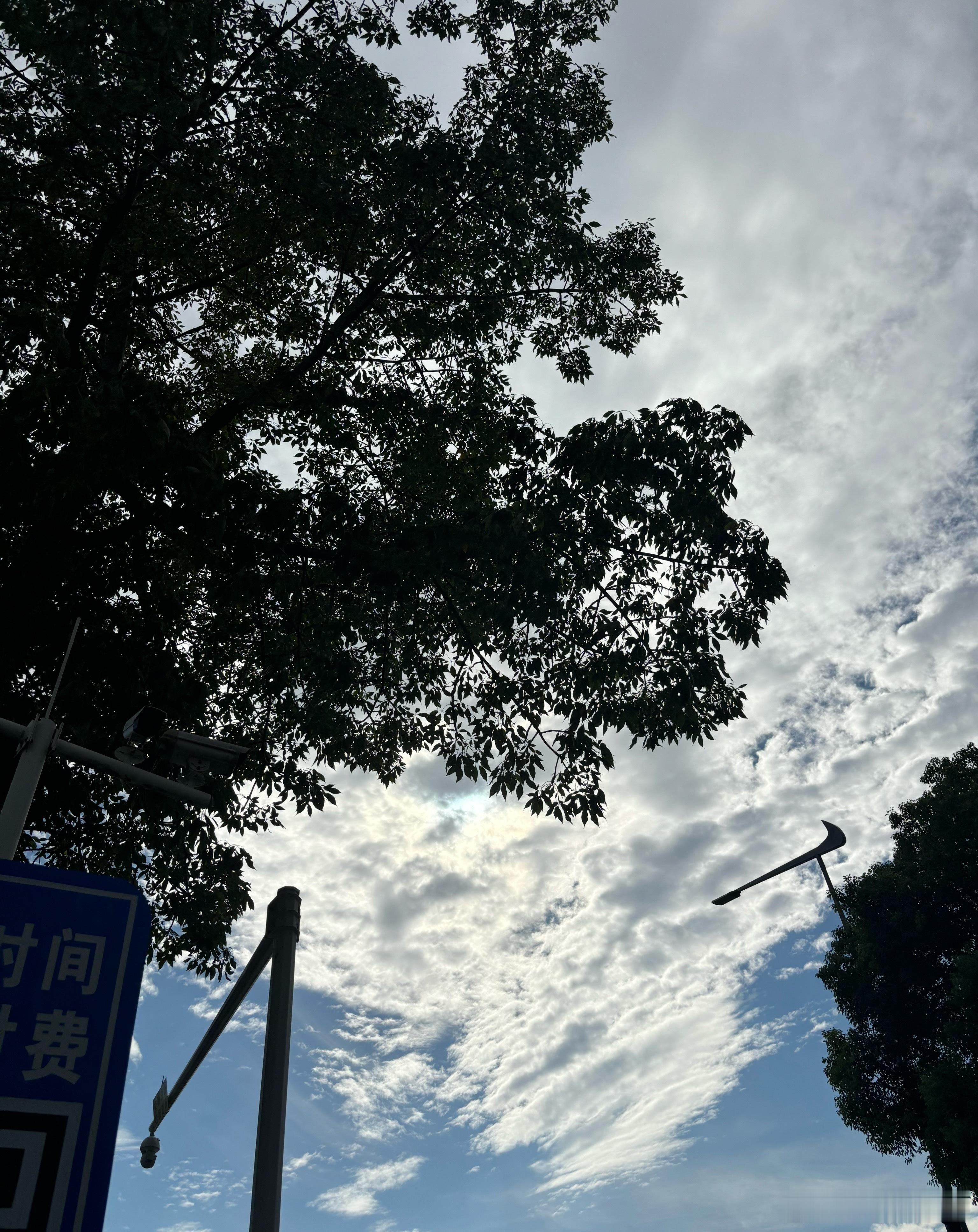 分享图片 