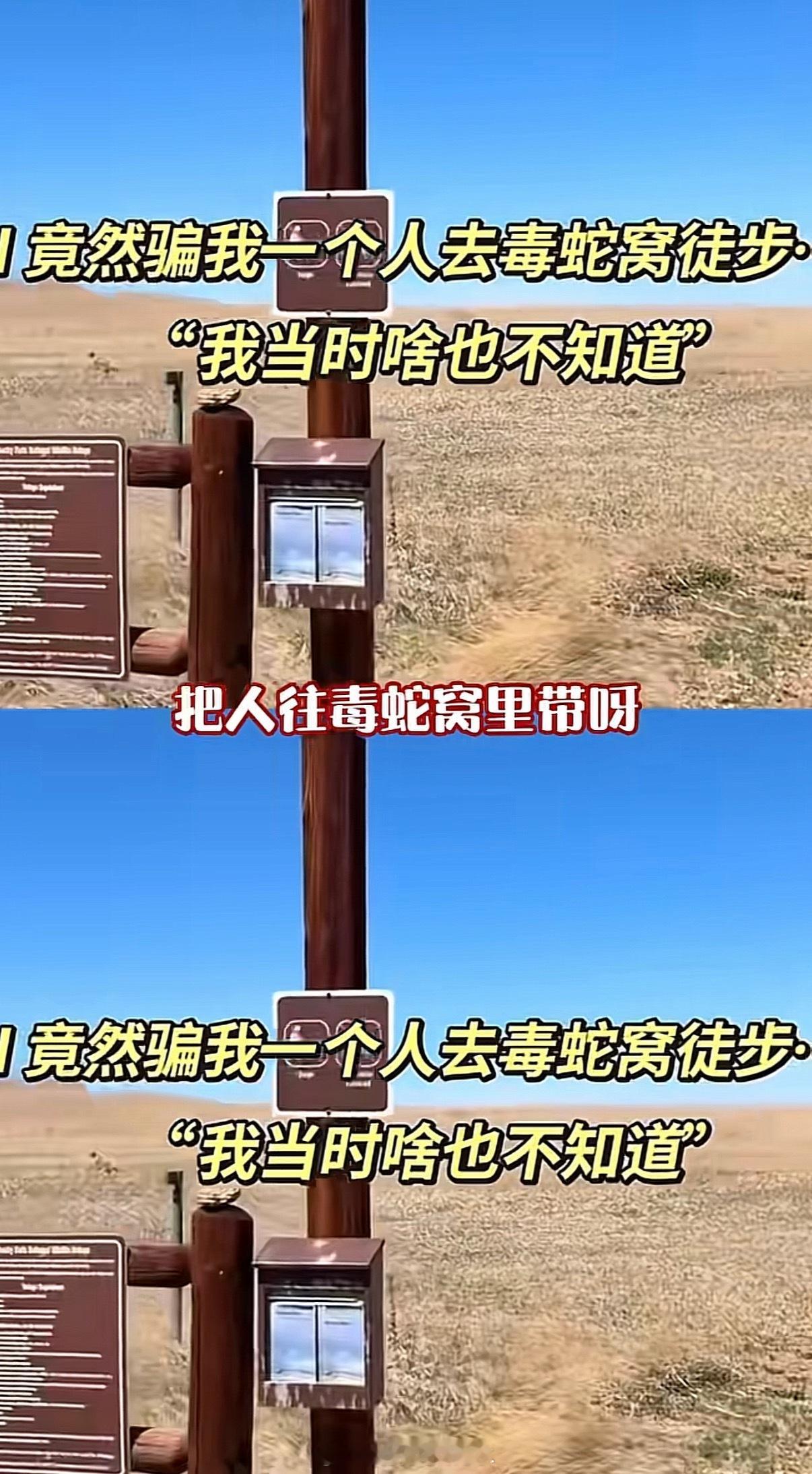 被AI骗去毒蛇窝徒步不至于啥都让豆包背，美国华人和留子在美国用豆包吗？ 猜也应该