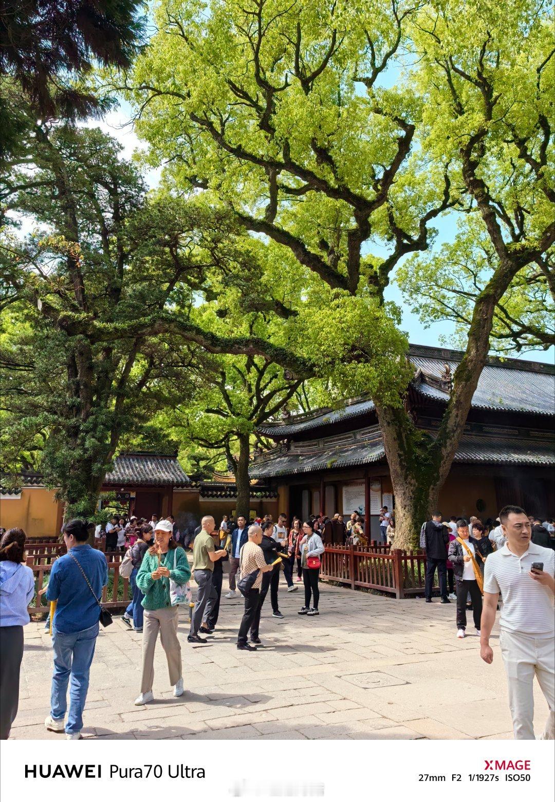 第一趟在普济寺！文殊面前我库库求[doge]  ​​​