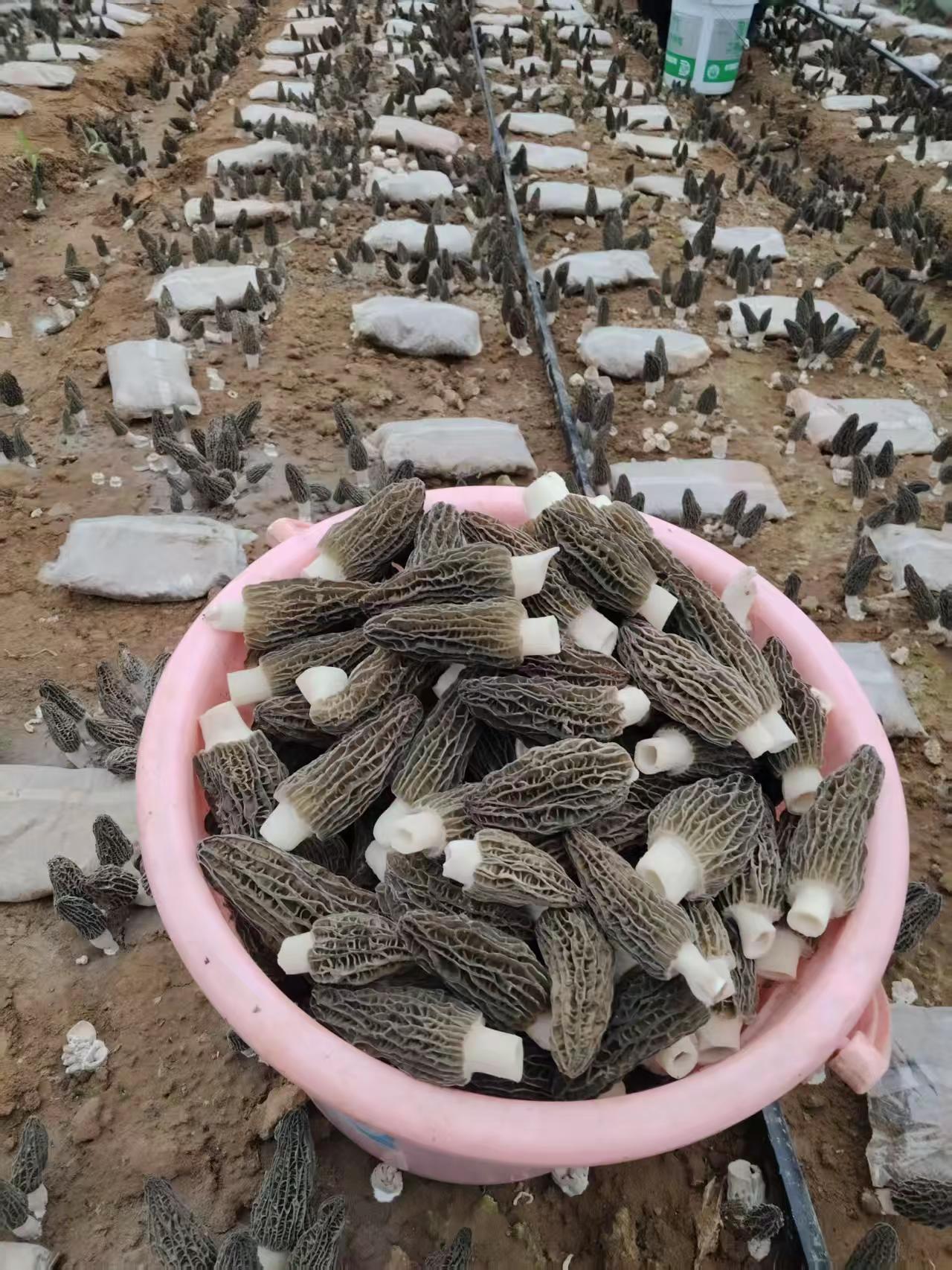 美女们，辛苦啦