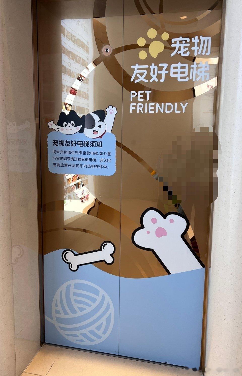 宠物友好电梯，第一次见 