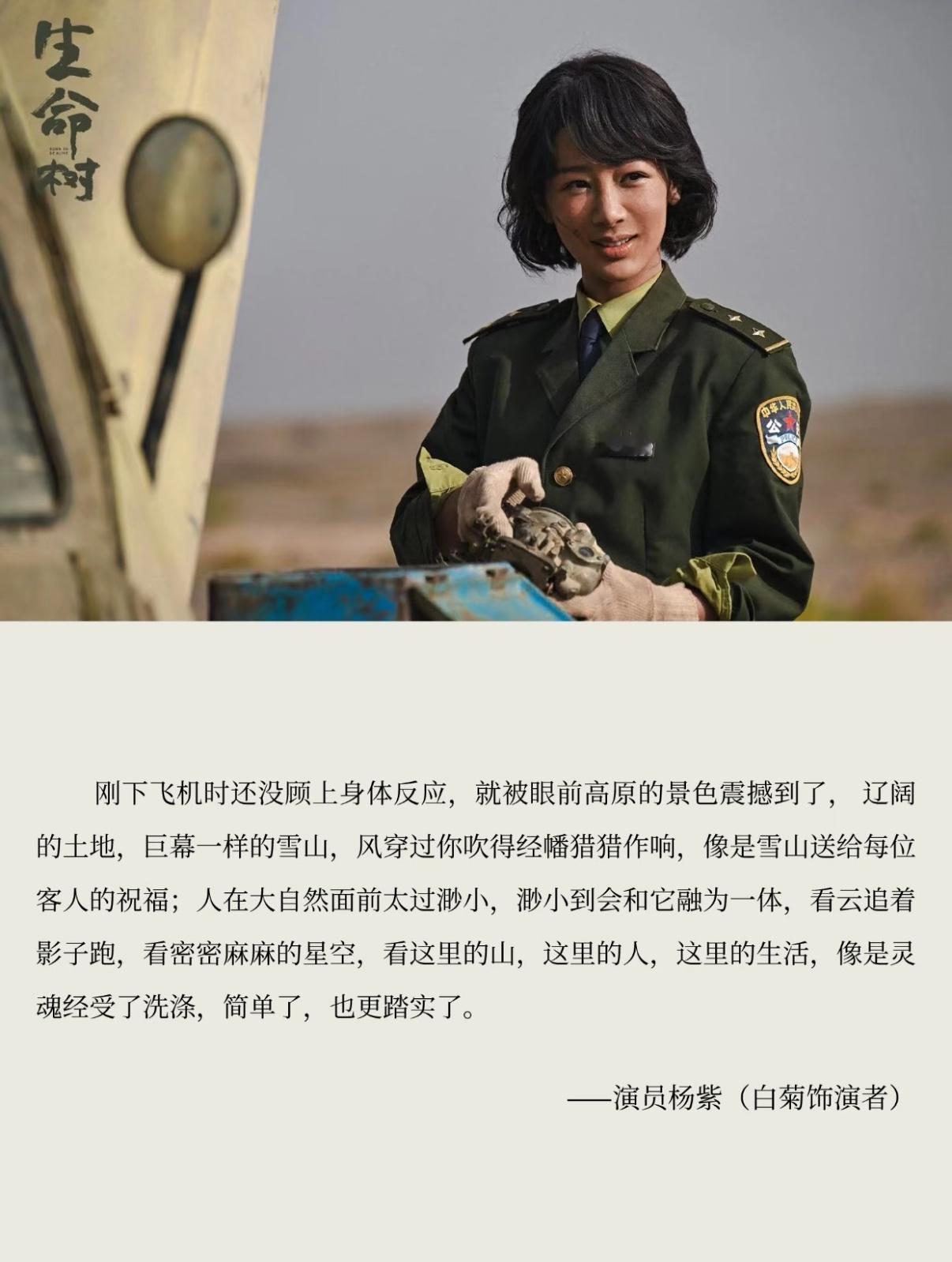 演员杨紫生命树手记 188天的扎根 让大家关注到生态保护 一切都值得 