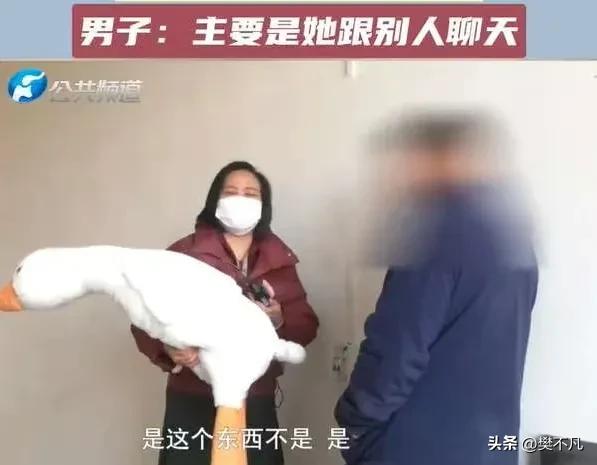 40岁女子网购大白鹅，丈夫看完聊天记录疯了：这男的是谁？

河南的李女士，40岁