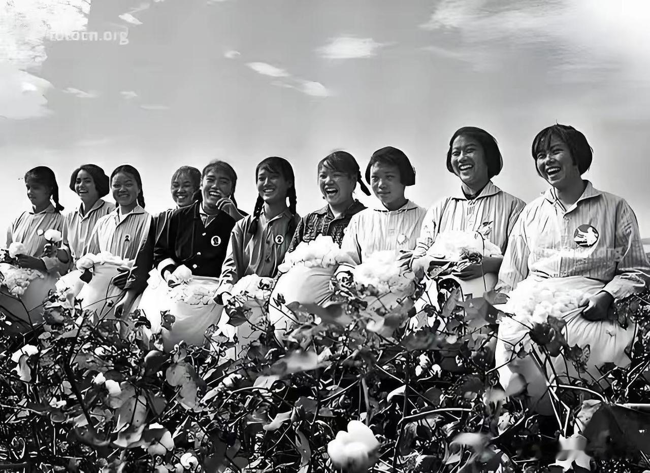 老兵游记  王震急调‌八千湘女来到石河子，对石河子及新疆农垦事业中起到了奠定根基