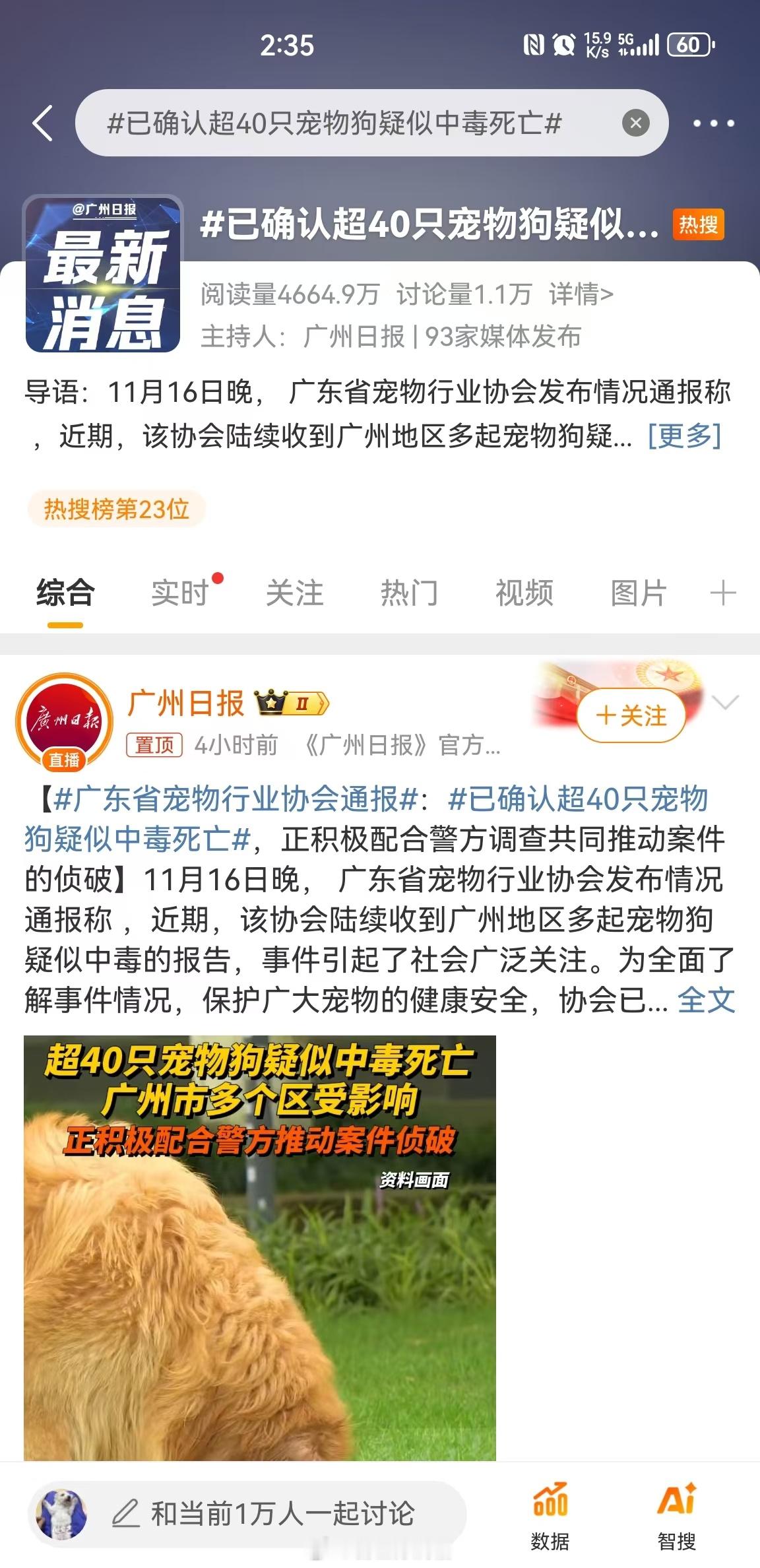 进入冬季，年关将近，出门遛狗千万注意！！！ 