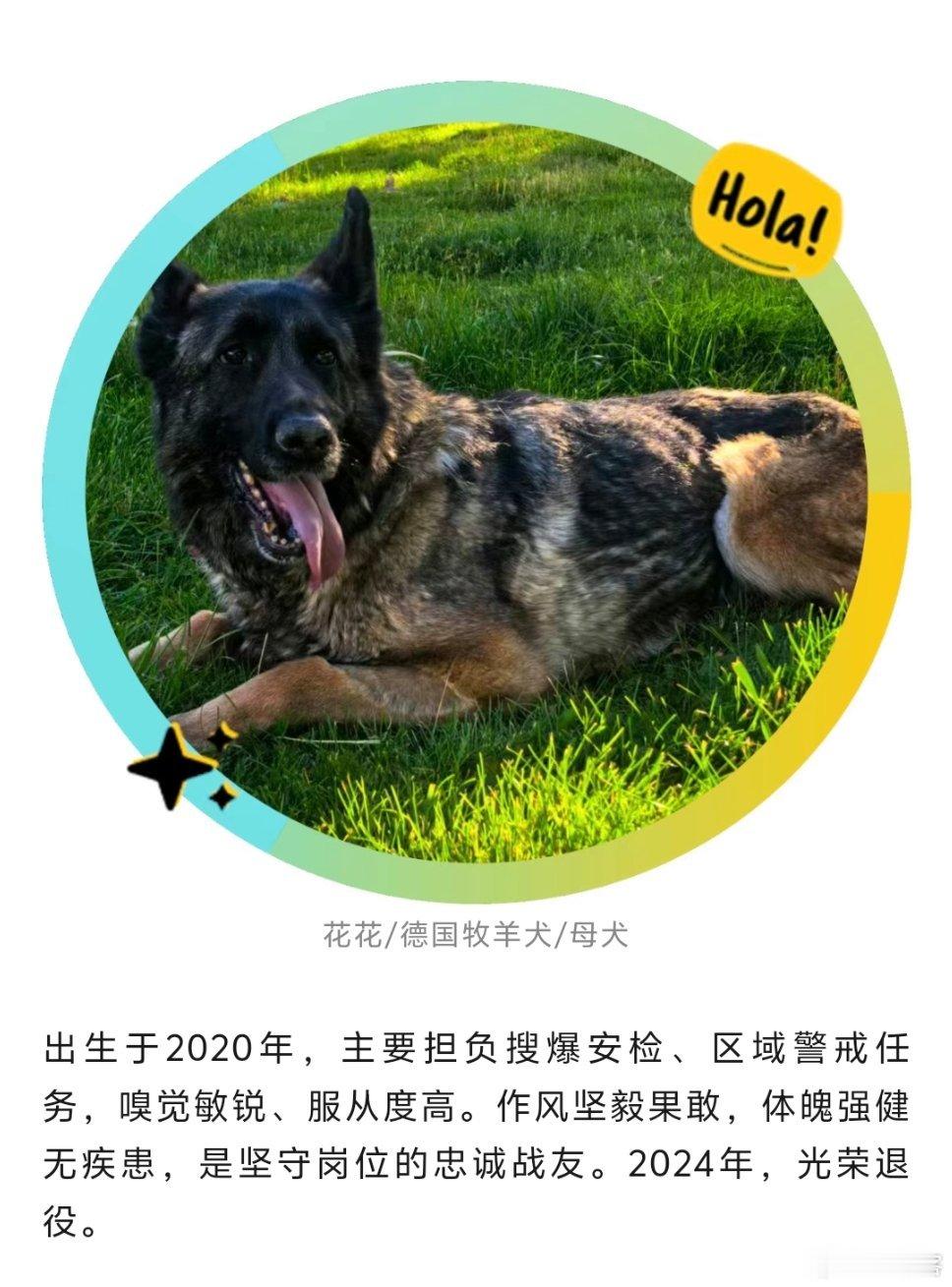 7只退役军犬寻家！武警西藏总队发布领养公告 