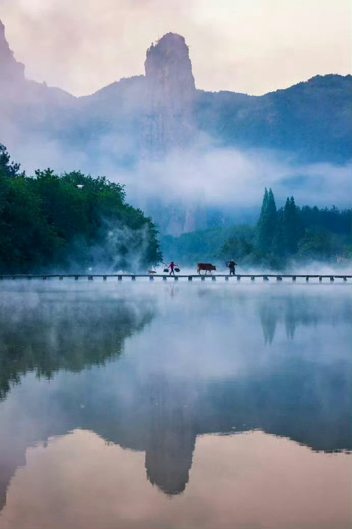 浙江·丽水，左手梯田，右手云海，徜徉在山水长廊之中，感受无数文人墨客笔下的幽幽画