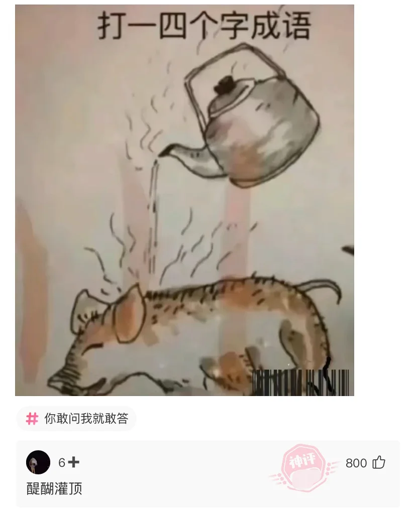 是什么成语呢哈哈哈哈哈哈搞笑图片梗图合集