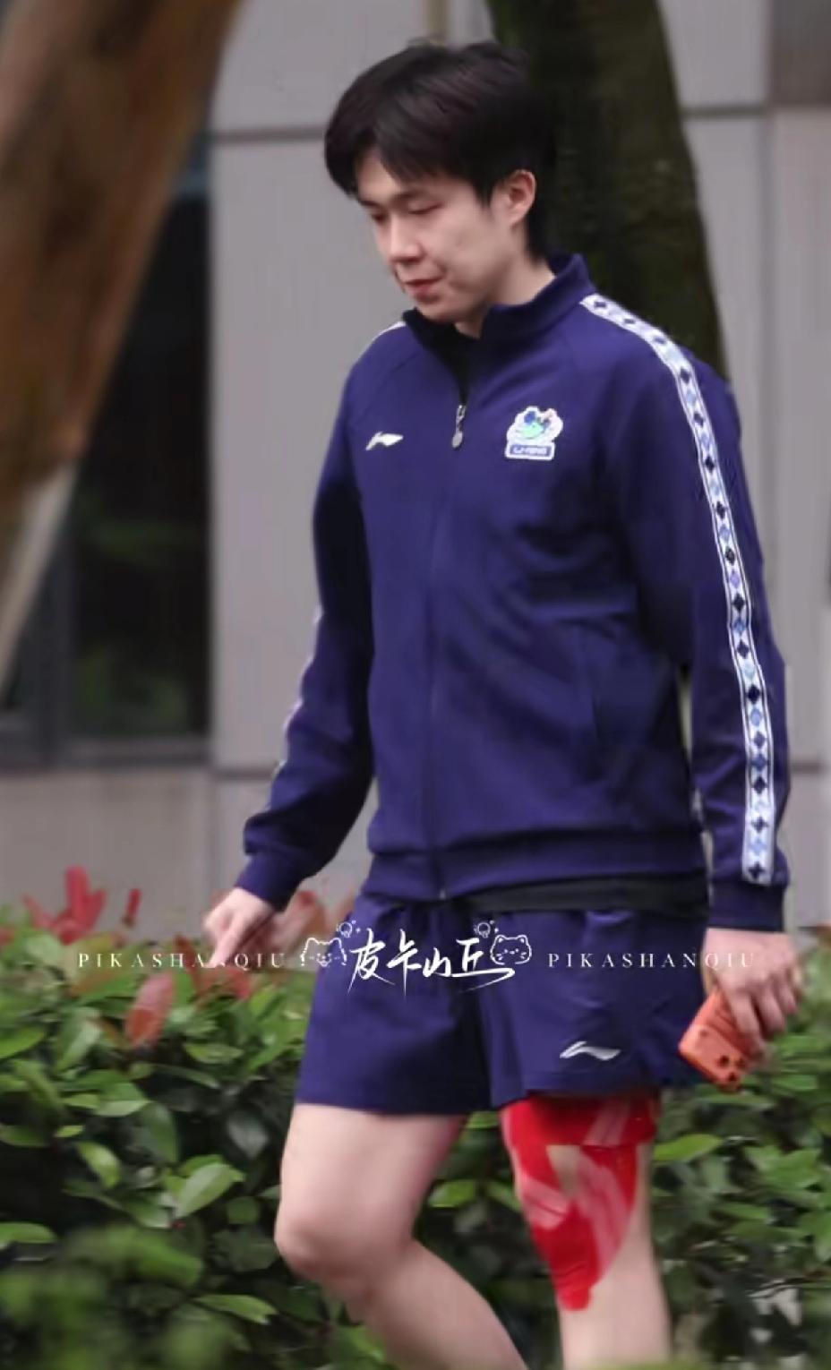 看王楚钦、林诗栋满腿的肌贴，
真为他们捏把汗。
伦敦世乒赛在即，
一定要保护好自