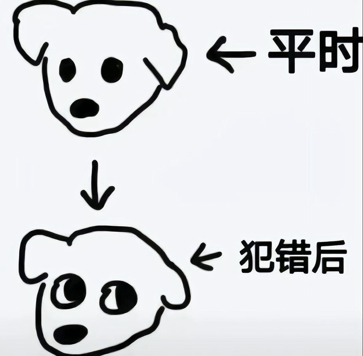小肉我呀，没事就爱偷点东西吃