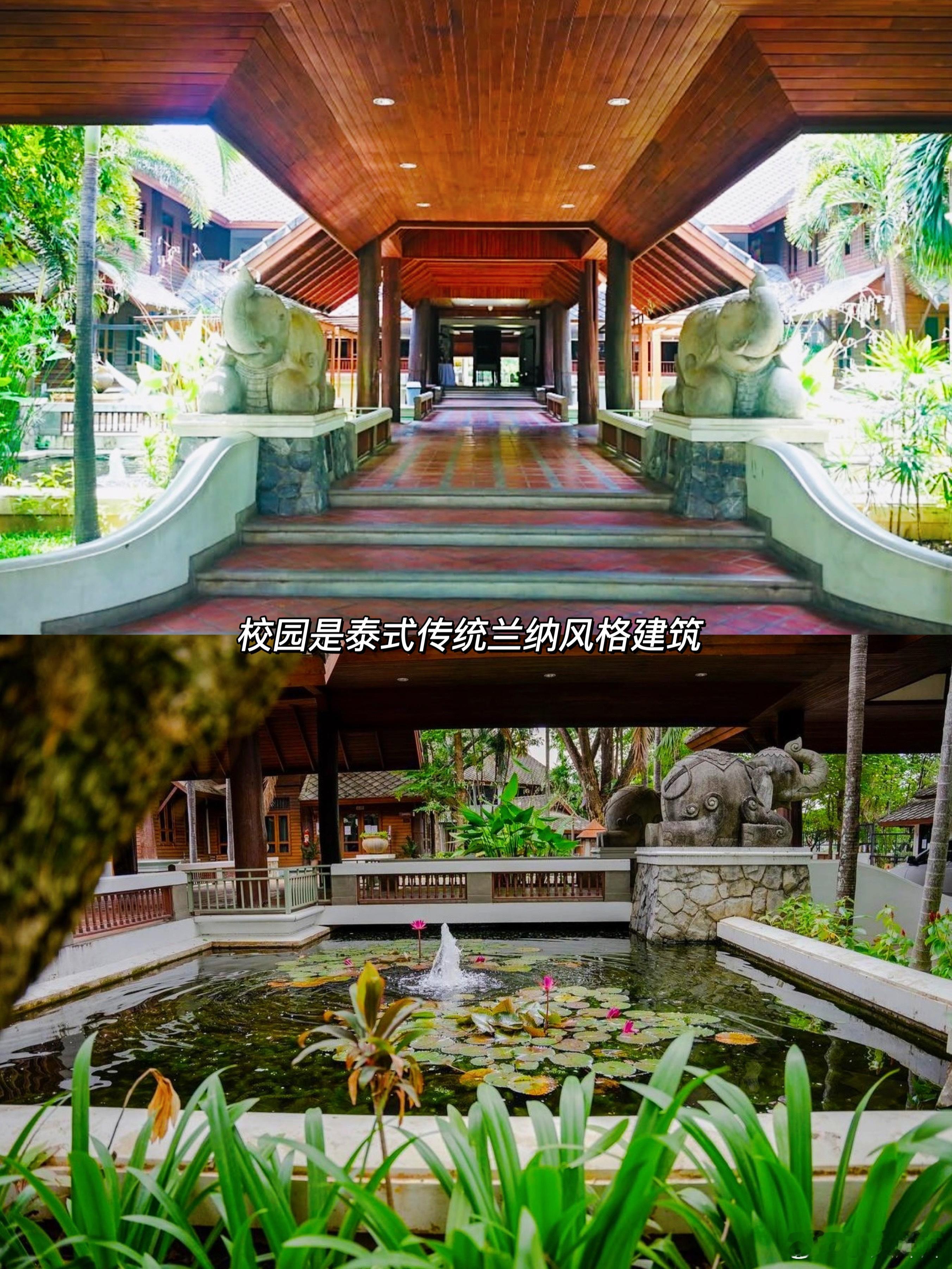 快码住⚡️⚡️⚡️泰国清迈老牌美制NIS夏令营，本周开放报名啦!🔹学校简介🔹