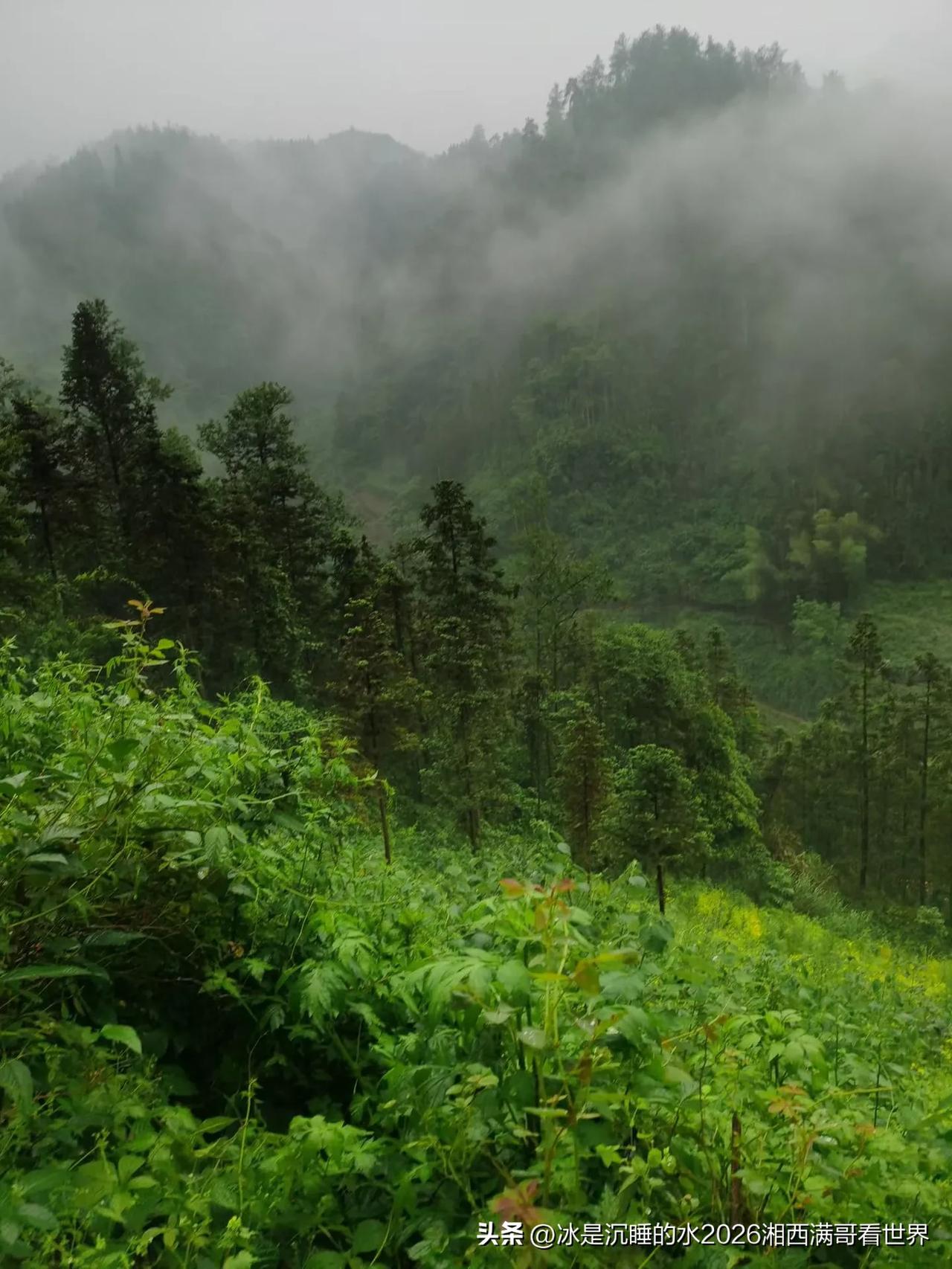 我的今日状态：😡生气
我这里的天气：🌧下雨
湘西大吉首的五月天气真的让人生气