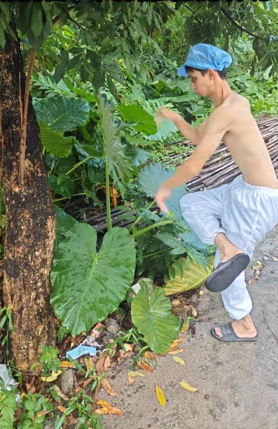邻居张大娘的儿子大学毕业回家，不去找工作，天天搁家练螳螂拳，大家有什么办法？