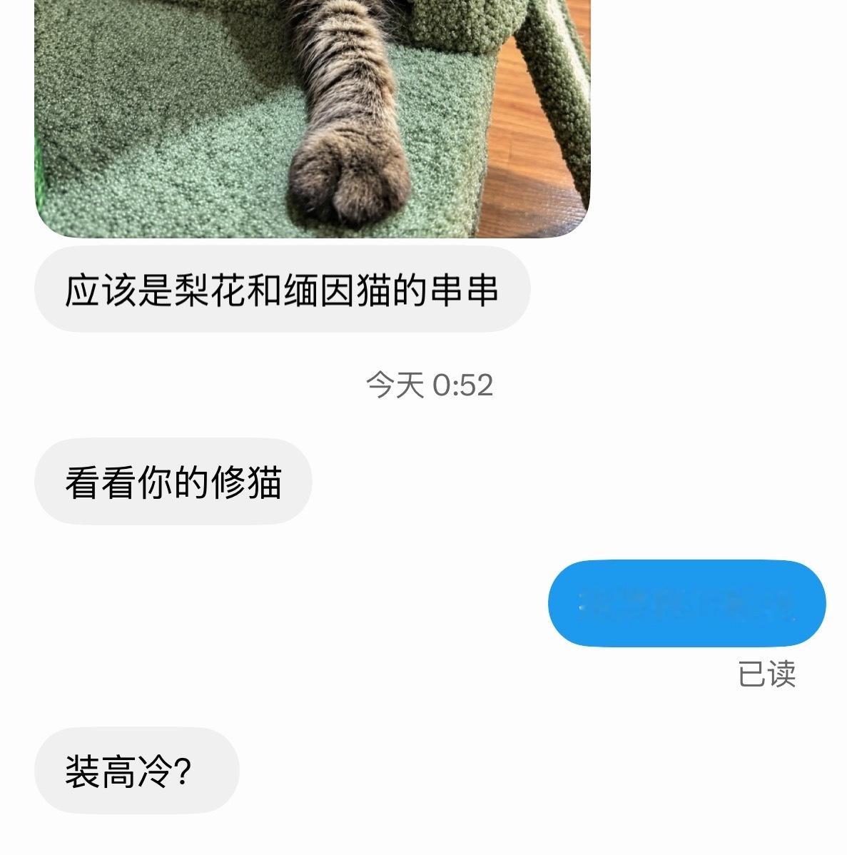 我哪是装高冷啊？我就是真的冰冷。我除了和家里人聊天，说几句就是和前男友们，偶尔聊
