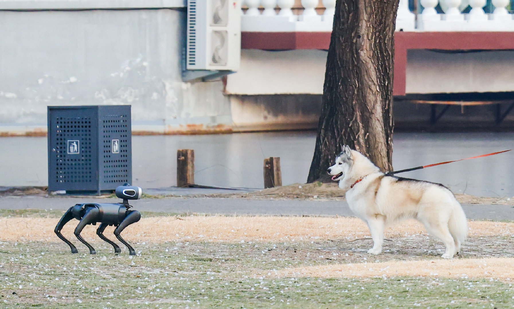 【】12月23日，具身智能初创企业维他动力正式发布消费级产品大头BoBo，定位无