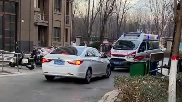 违法成本过低，就是在纵容犯罪