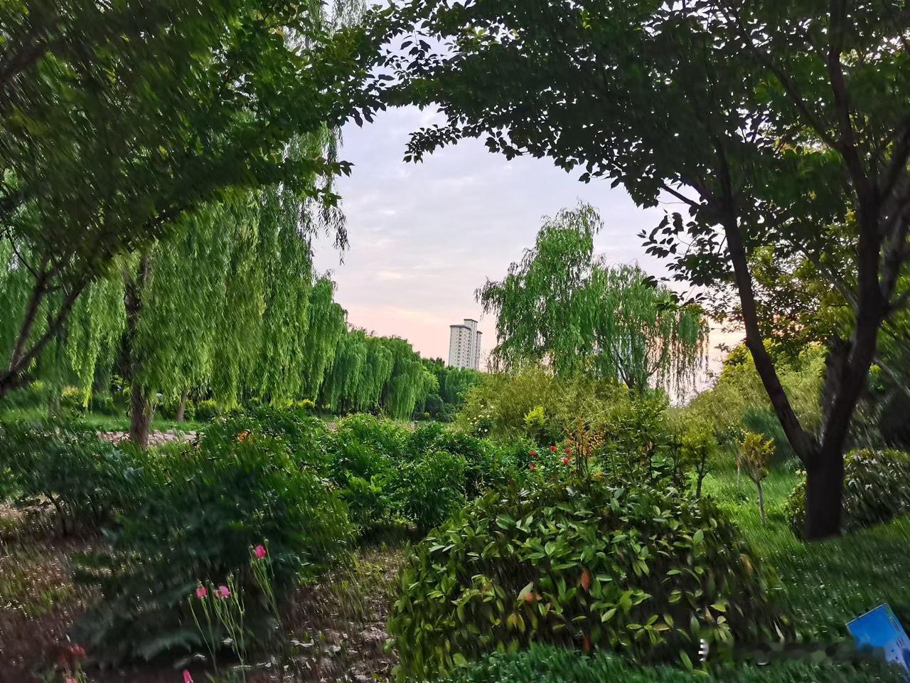 凤翔雍城湖湿地公园卓雍措湖 岐山凤翔 凤翔区旅游 凤翔区公园 凤翔湖森林公园 雍
