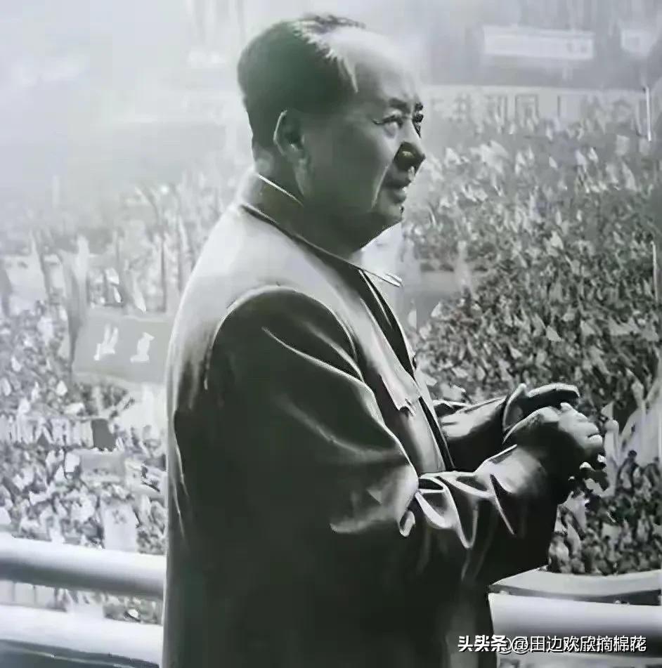 别再只夸毛主席伟大了，外国学者的评价，才真叫一针见血！
很多人只知道毛主席带领我