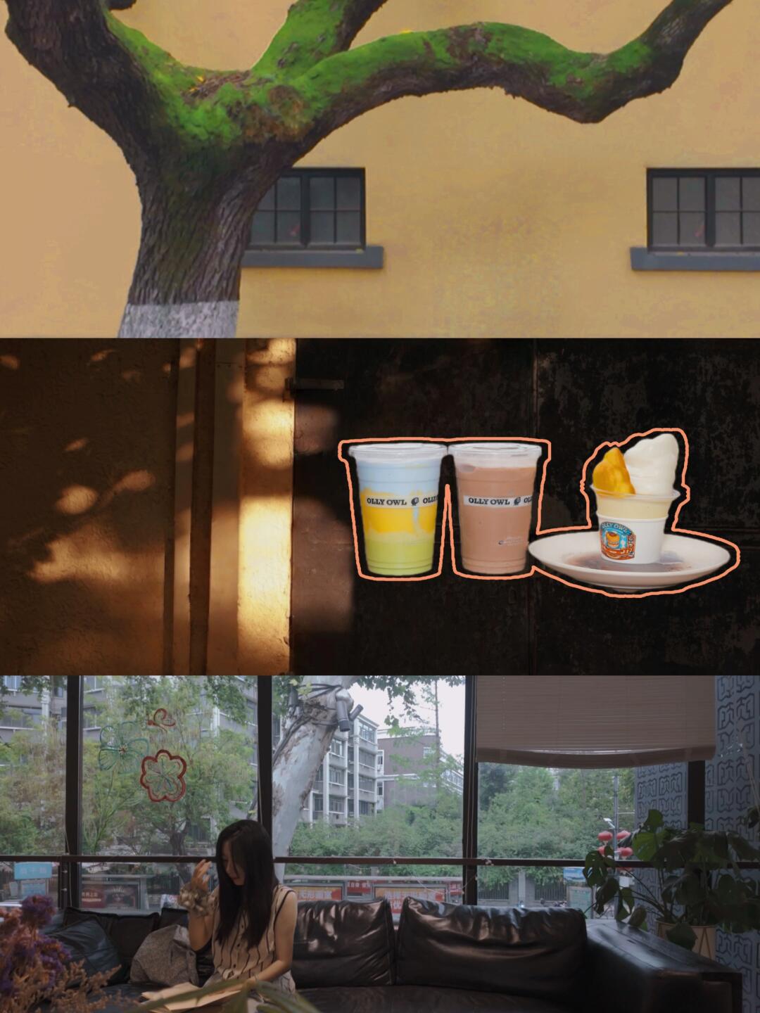 🥤🍮+🚶｜夏末的颐和路正确打开方式