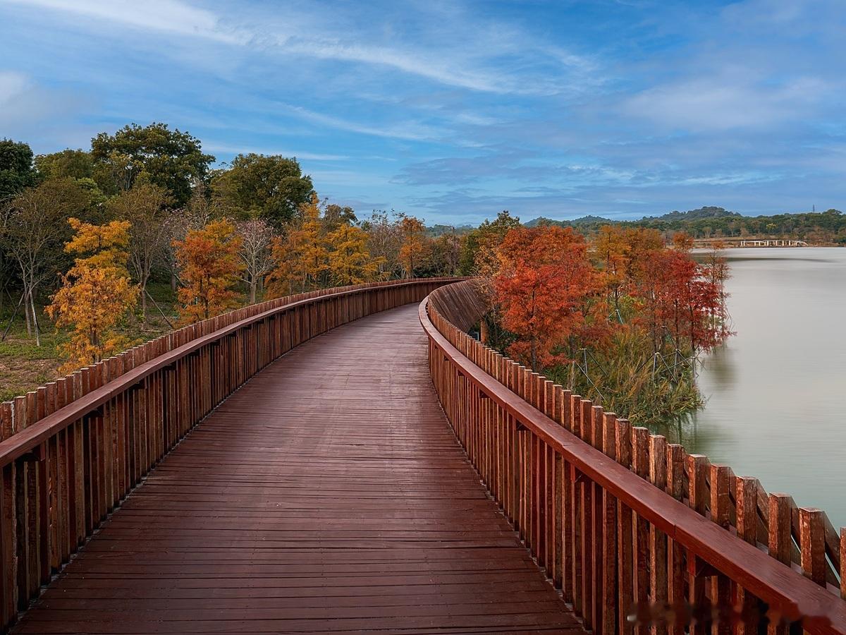 投资公司只投资，不参与公司管理，有放任的风险可能导致投资战略目标脱节及信息不对称