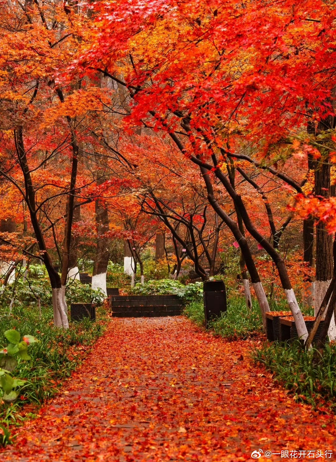 孩子躺平的4个阶段第一阶段：去道德化，从愧疚到不愧疚。第二阶段：去人格化，不努力