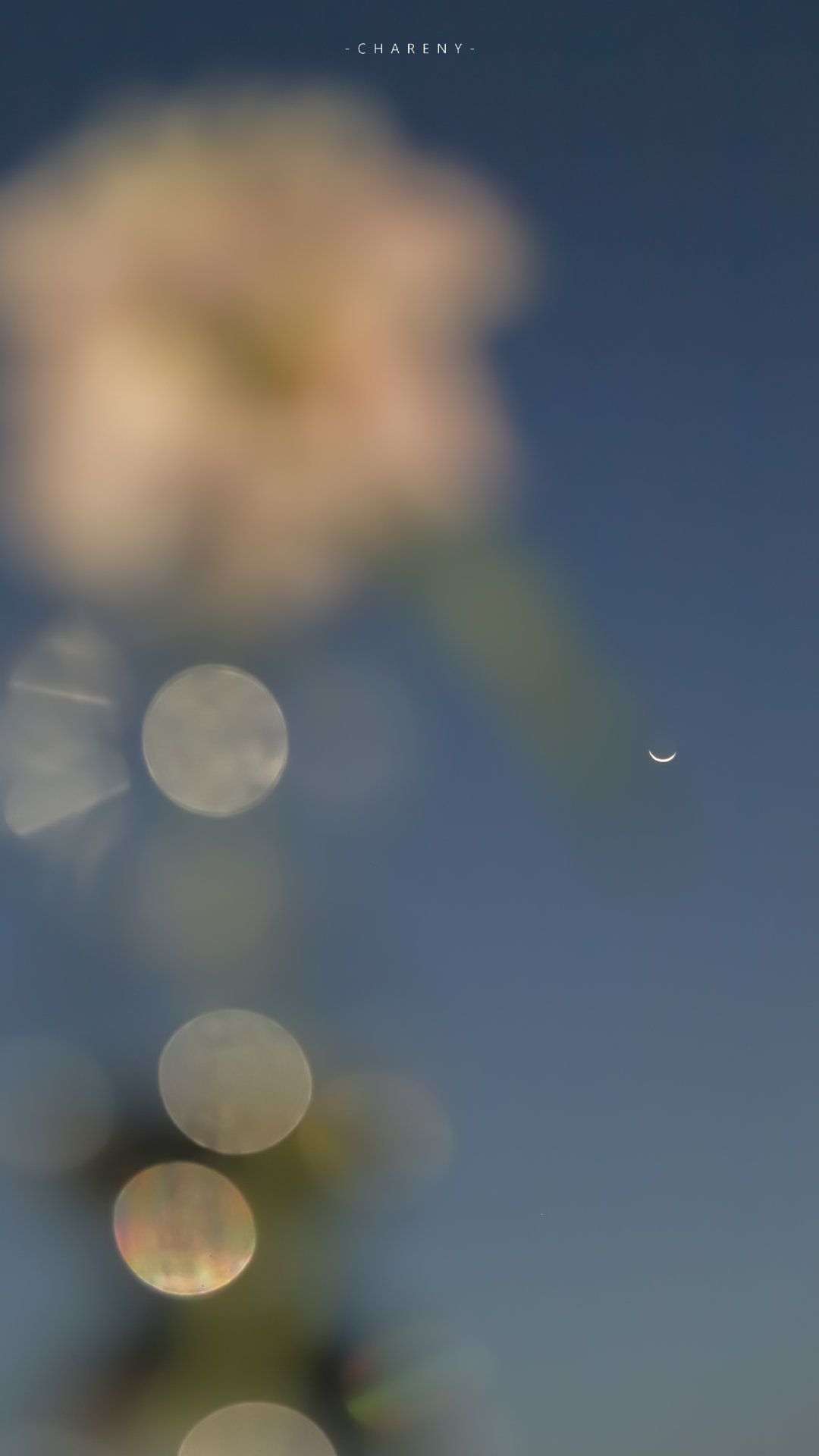 月亮照回湖心，野鹤奔向闲云，我步入你。丨仓央嘉措摄影 -Chareny ​​​