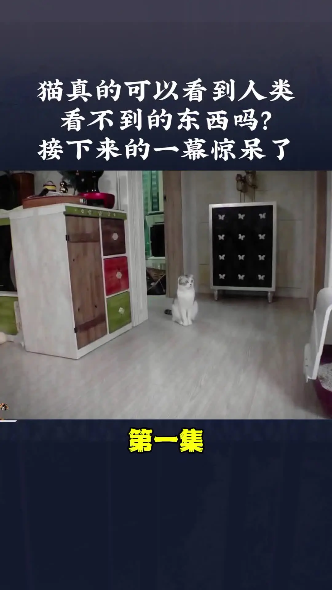 动物世界 动物解说 内容启发搜索