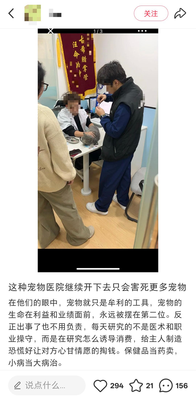 宠物看病也有标准了现在宠物看病水真的太深了，各种宠物医院鱼龙混杂，医疗的信息差普