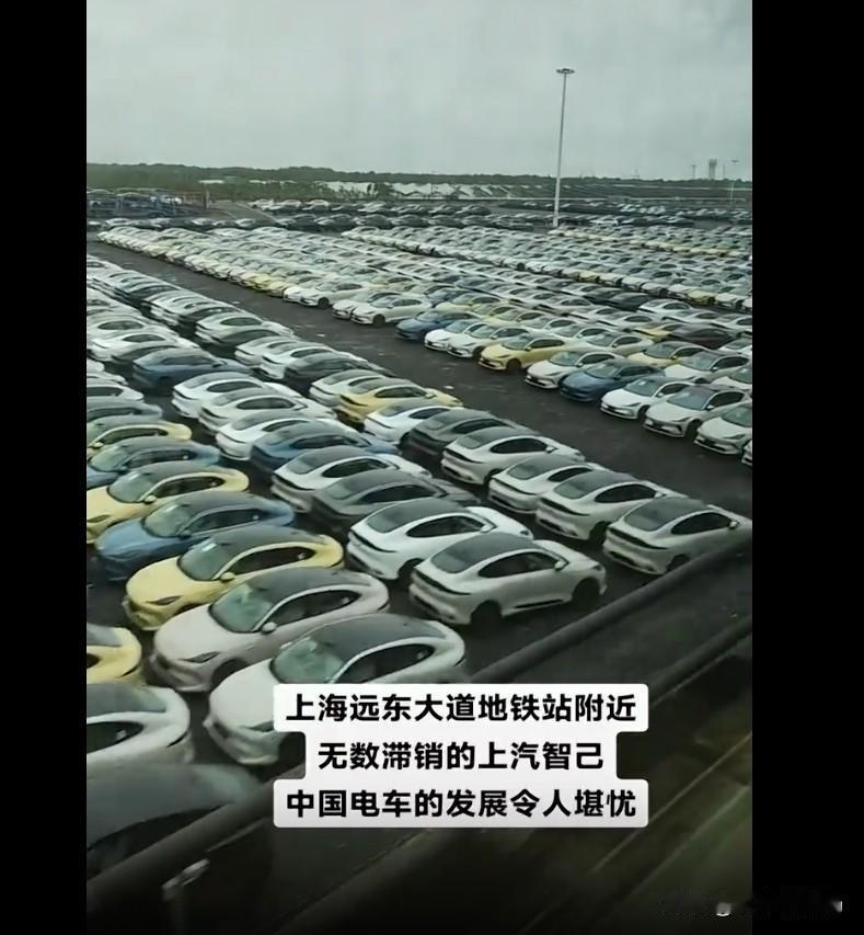 辟谣！网上最近有段视频，说上海远东大道旁听着无数滞销的某品牌新能源汽车，经过网友