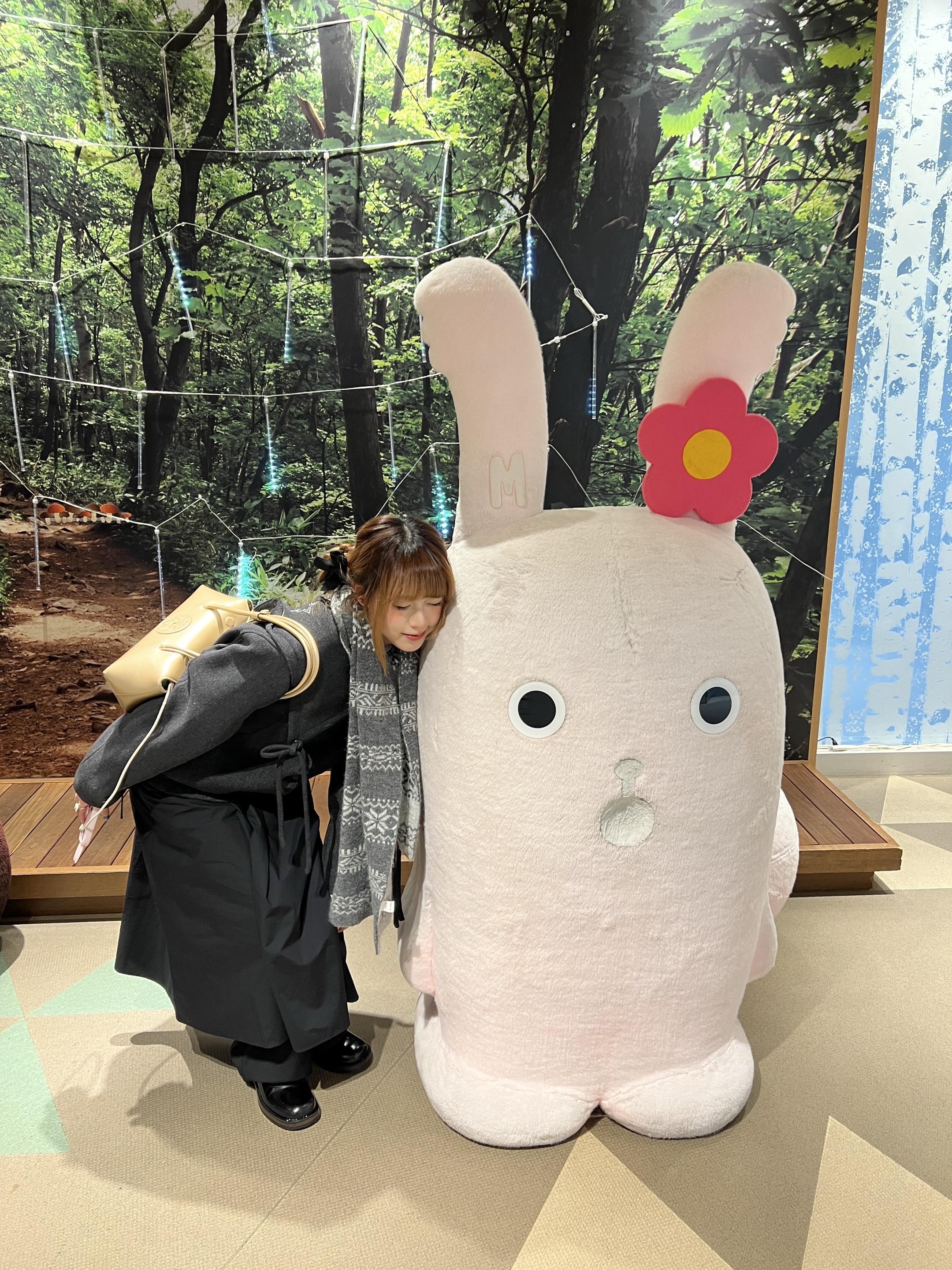 🐧一些呆呆照片(｡ ́︿ ̀｡)