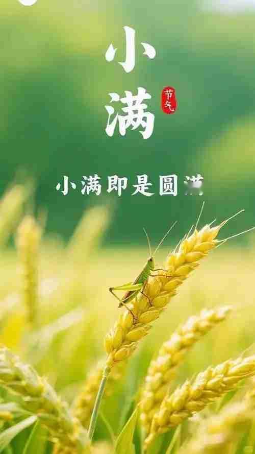 我的今日状态：😁轻松愉快
我这里的天气：☀️晴天
小满遇雨，事事圆满🌾
 今