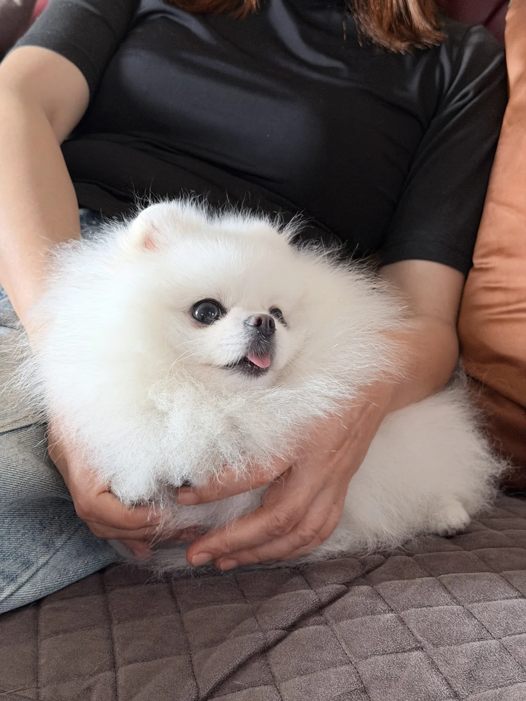 新鲜出炉的雪花团子 谁要来一口