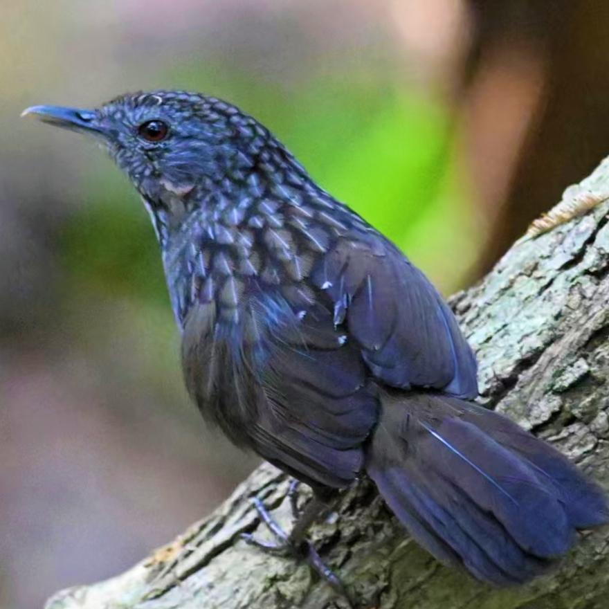 公园美丽景随拍